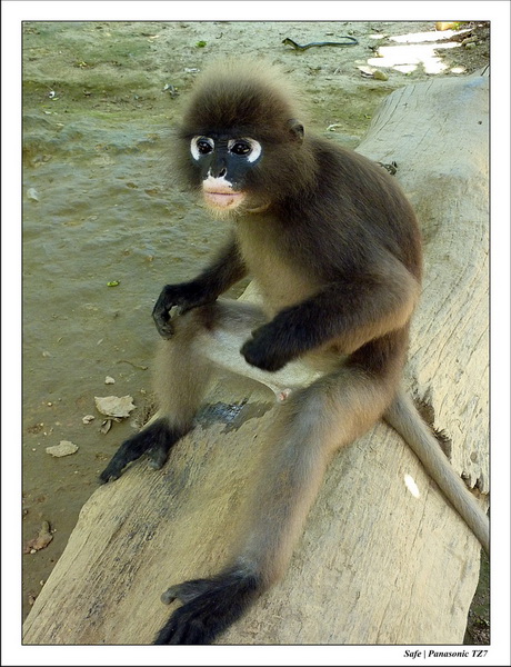 2012 - 03 - Koh Lanta 25